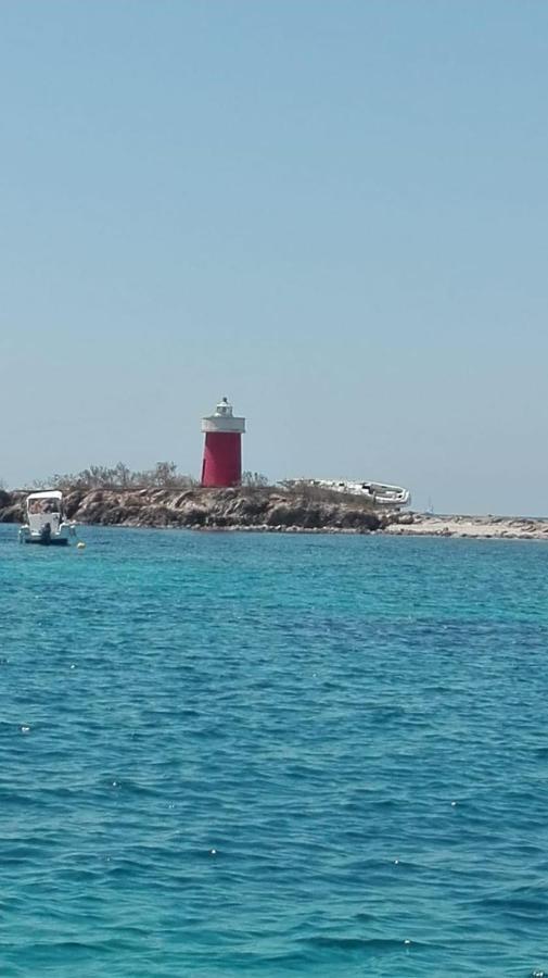 A Casa Di Mamma Daire Alghero Dış mekan fotoğraf